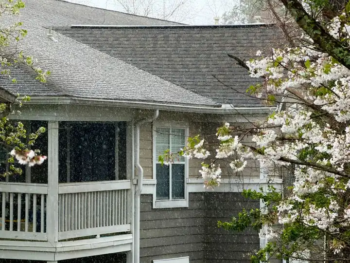 A serene view of rainfall above a wooden balcony near blossoming trees on a cloudy spring day.